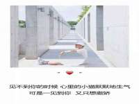 上海典恩灼网络科技有限公司
