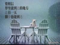 上海典恩灼网络科技有限公司
