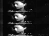 上海典恩灼网络科技有限公司