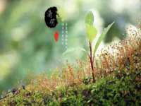 上海典恩灼网络科技有限公司