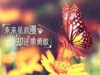 上海典恩灼网络科技有限公司