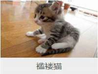 上海典恩灼网络科技有限公司