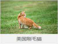 上海典恩灼网络科技有限公司