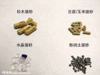 上海典恩灼网络科技有限公司