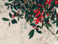上海典恩灼网络科技有限公司