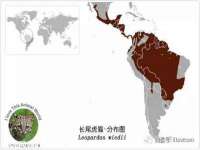 上海典恩灼网络科技有限公司