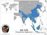 上海典恩灼网络科技有限公司
