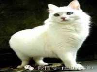 上海典恩灼网络科技有限公司