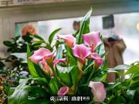 上海典恩灼网络科技有限公司