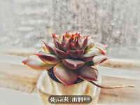 上海典恩灼网络科技有限公司