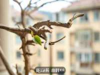 上海典恩灼网络科技有限公司
