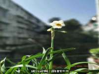 上海典恩灼网络科技有限公司