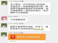 上海典恩灼网络科技有限公司