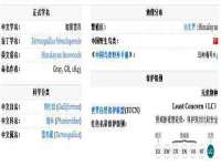 上海典恩灼网络科技有限公司