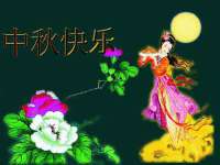 上海典恩灼网络科技有限公司