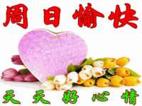上海典恩灼网络科技有限公司