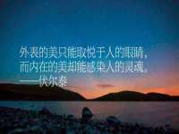 上海典恩灼网络科技有限公司