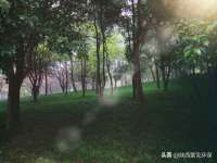 上海典恩灼网络科技有限公司