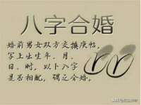 上海典恩灼网络科技有限公司