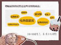 上海典恩灼网络科技有限公司