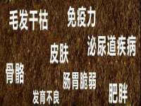 上海典恩灼网络科技有限公司