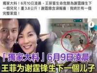 上海典恩灼网络科技有限公司