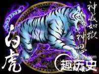 上海典恩灼网络科技有限公司