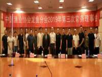 上海典恩灼网络科技有限公司