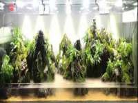 上海典恩灼网络科技有限公司