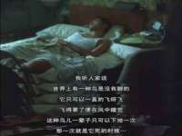 上海典恩灼网络科技有限公司