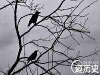 上海典恩灼网络科技有限公司