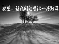 上海典恩灼网络科技有限公司
