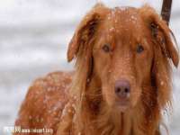 上海典恩灼网络科技有限公司