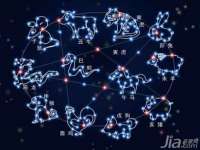 上海典恩灼网络科技有限公司