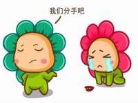 上海典恩灼网络科技有限公司