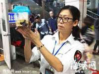 上海典恩灼网络科技有限公司