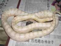 上海典恩灼网络科技有限公司