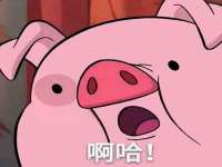 上海典恩灼网络科技有限公司