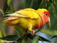 上海典恩灼网络科技有限公司
