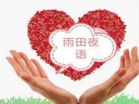 上海典恩灼网络科技有限公司