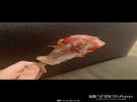 上海典恩灼网络科技有限公司