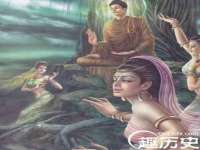 上海典恩灼网络科技有限公司